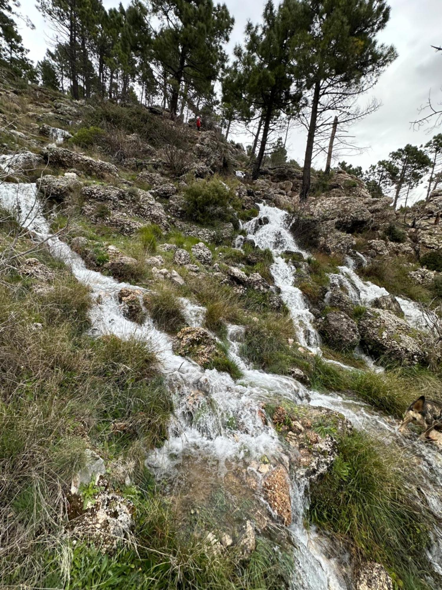 Casas Rurales Cerro Lobo Yeste Exteriör bild