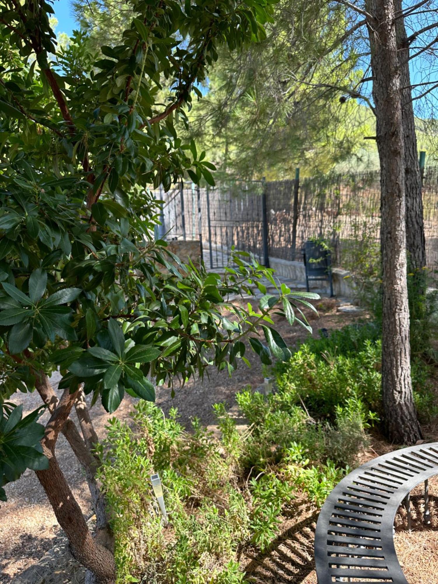 Casas Rurales Cerro Lobo Yeste Exteriör bild