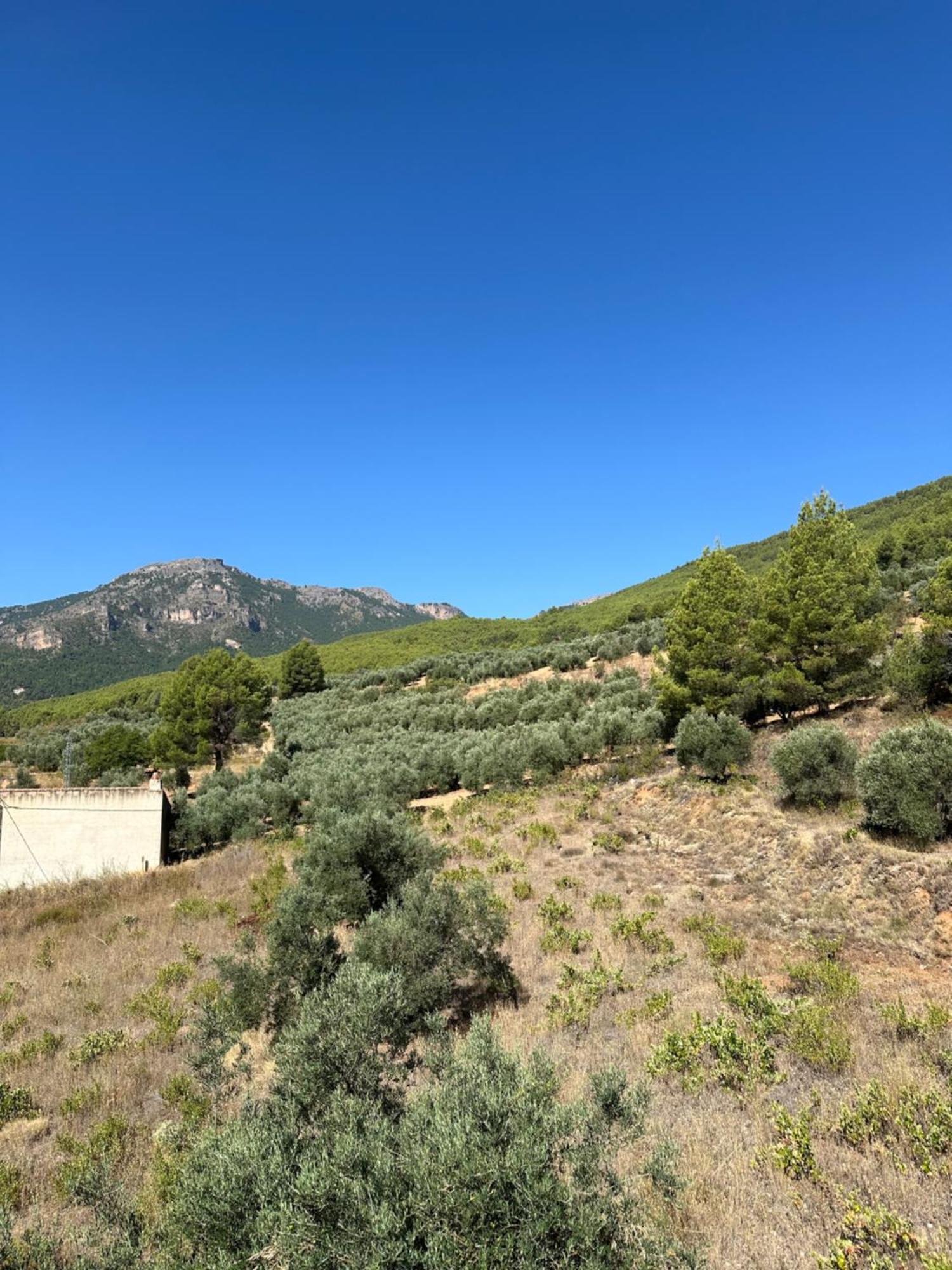 Casas Rurales Cerro Lobo Yeste Exteriör bild